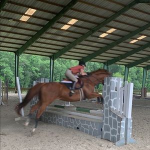 Meet your Posher, Rory